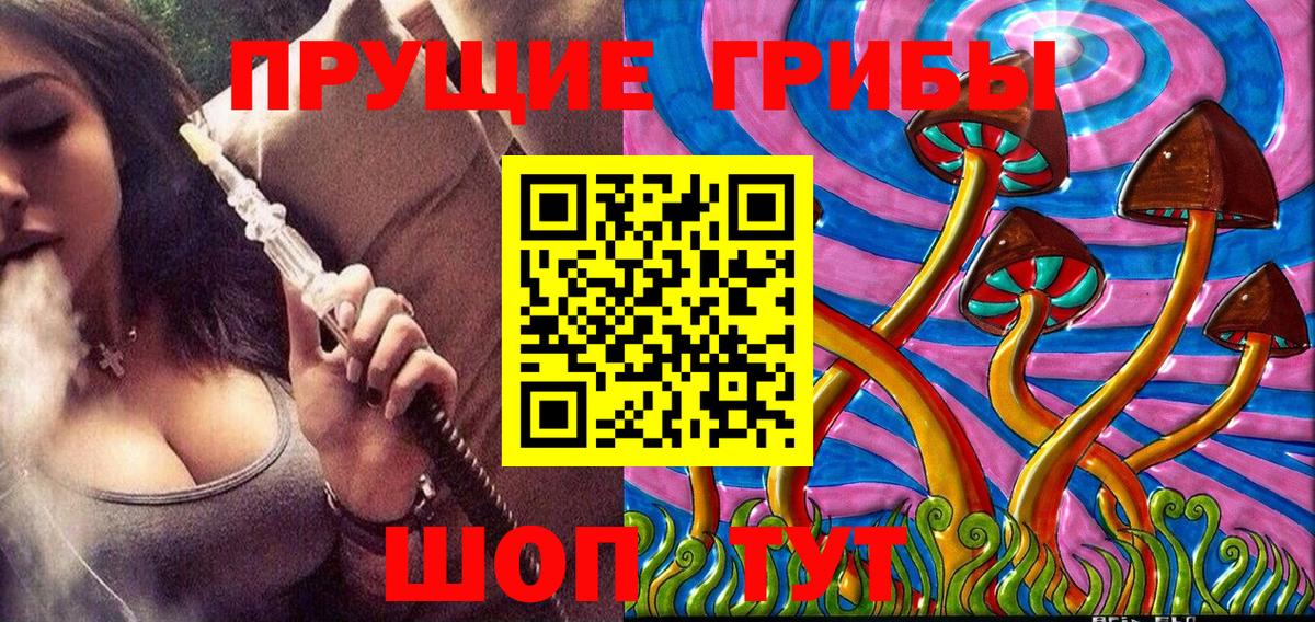 Галлюциногенные грибы Psilocybe Лысьва